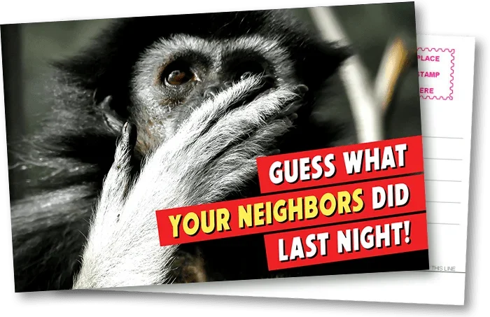 A monkey on a postcard with "Guess what your neighbors did last night!" message