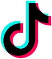 tiktok2022logo