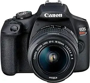 Example image of digital single-lens reflex (DSLR) camera